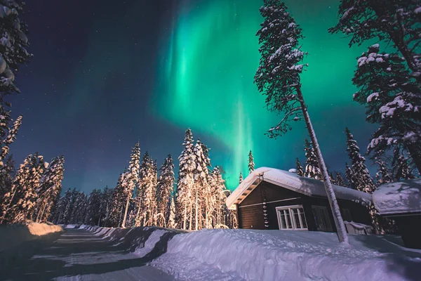 Piękny obraz ogromnej wielokolorowe zielony wibrujący Aurora Borealis, Aurora Polaris, znany również jako Zorza polarna na nocnym niebie nad zimowych Laponia, Norwegia, Scandinavia — Zdjęcie stockowe