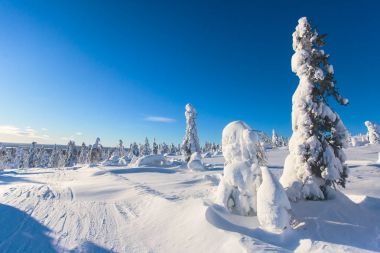 Güzel bir Kayak Merkezi, güneşli kış günü yamaç, Bakırlı ve teleferik ile soğuk dağ manzarası 