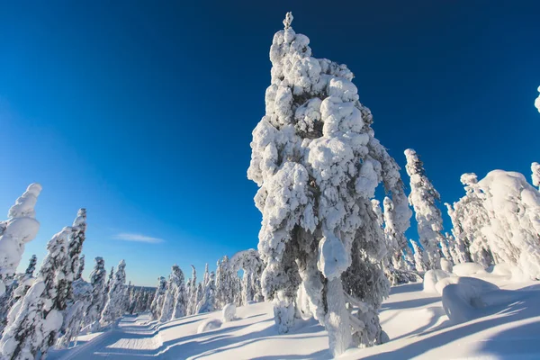 Piękny widok na góry zimno ski resort, słoneczny zimowy dzień z nachylenia, stoku i wyciągu narciarskiego — Zdjęcie stockowe