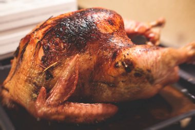 Şükran Günü veya Noel masası için soslu ev yapımı hindi pişirilmiş şenlikli kutlama yemeği.