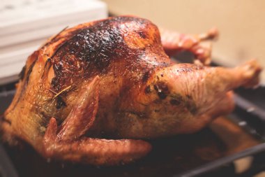 Şükran Günü veya Noel masası için soslu ev yapımı hindi pişirilmiş şenlikli kutlama yemeği.