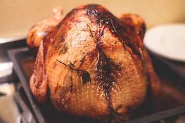 Şükran Günü veya Noel masası için soslu ev yapımı hindi pişirilmiş şenlikli kutlama yemeği.