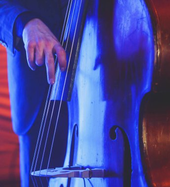 Caz grubu performansı sırasında vokalisti ve müzikali olan kontrabass bir kemancının konser görüntüsü