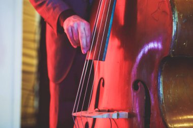 Caz grubu performansı sırasında vokalisti ve müzikali olan kontrabass bir kemancının konser görüntüsü