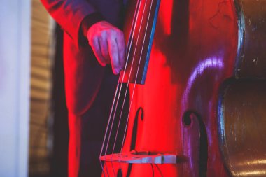 Caz grubu performansı sırasında vokalisti ve müzikali olan kontrabass bir kemancının konser görüntüsü