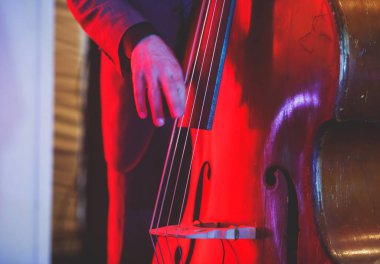 Caz grubu performansı sırasında vokalisti ve müzikali olan kontrabass bir kemancının konser görüntüsü