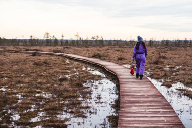 Sestroretsk bataklığı, ekolojik patika yolu üzerindeki ahşap geçidin havadan görünüşü bataklıkta uzanan yol, 