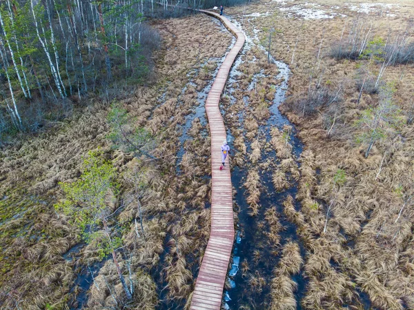 Aerial view of wooden walkway on the territory of Sestroretsk swamp, ecological trail path - route walkways laid in the swamp, reserve \