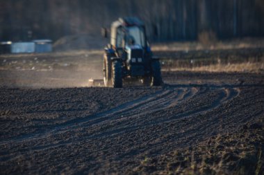 Disk harrow sistemine sahip bir traktör ekili tarım tarlasını, toprağı yıpratma ve hazırlama sürecini, gün batımında tarlada ekin ekme işini, tarım kavramını, Wor 'da harrow makinesini,
