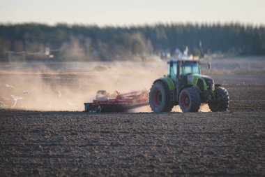 Disk harrow sistemine sahip bir traktör ekili tarım tarlasını, toprağı yıpratma ve hazırlama sürecini, gün batımında tarlada ekin ekme işini, tarım kavramını, Wor 'da harrow makinesini,