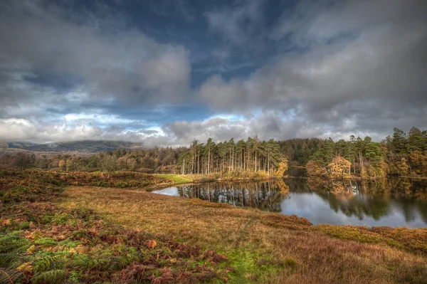 Oszałamiający krajobraz Tarn Hows in Lake District — Zdjęcie stockowe