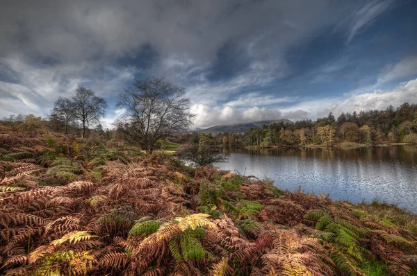 Atemberaubendes Landschaftsbild von Tarn Hows im See. — Stockfoto