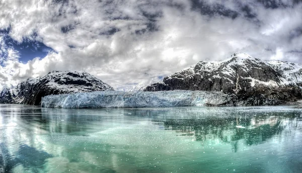 Margarita glaciar - Alaska - Estados Unidos — Foto de Stock