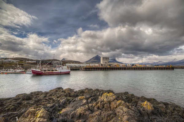 Port de la ville de Djpivogur - Islande — Photo