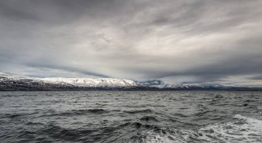 İzlanda 'daki Hrisey Adası Köyü