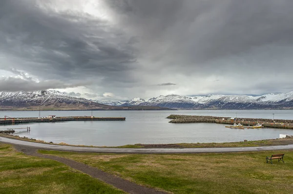 İzlanda 'daki Hrisey Adası Köyü — Stok fotoğraf