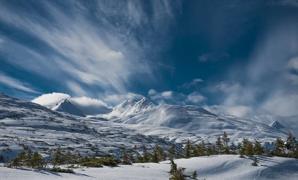 Beyaz Geçit Alaska — Stok fotoğraf