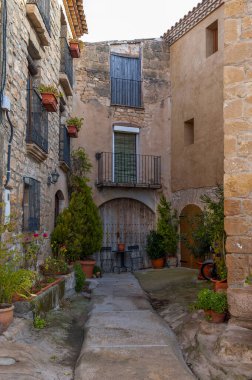 Sessiz Torrebesslerin kasabası