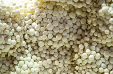 Beyaz Shimeji Pekin pazarında - Çin