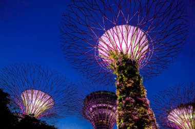 Singapur 'daki Bay Gardens.