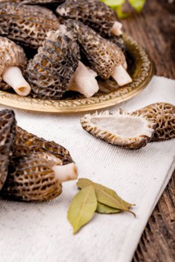 Taze morchella conica, mevsimlik mantarlar.