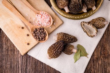 Taze morchella conica, mevsimlik mantarlar