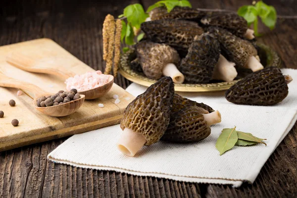 Morchella conica fresca, cogumelos sazonais . — Fotografia de Stock