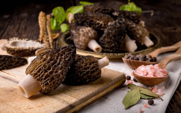 Morchella conica fresca, cogumelos sazonais — Fotografia de Stock