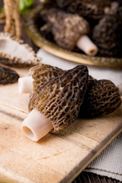 Morchella conica fresca, cogumelos sazonais — Fotografia de Stock