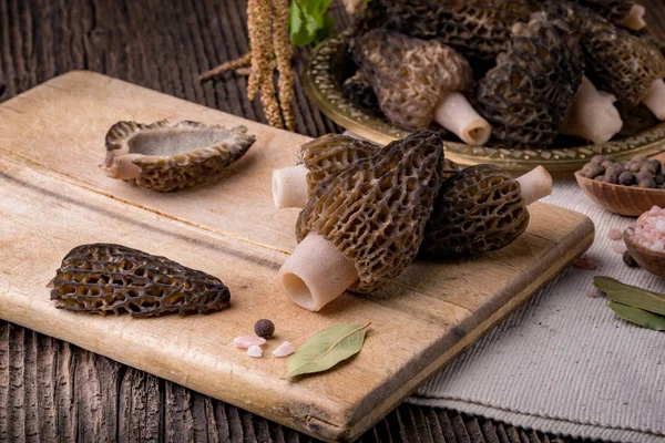 Morchella conica, färska, säsongsbetonade svampar — Stockfoto