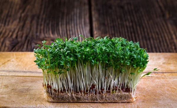 Taze tere hazır salata için çimlenme