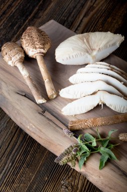 Macrolepiota procera is a very tasty edible mushroom