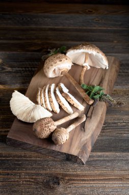 Macrolepiota procera is a very tasty edible mushroom
