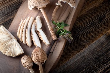 Macrolepiota procera is a very tasty edible mushroom