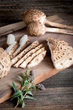 Macrolepiota procera is a very tasty edible mushroom