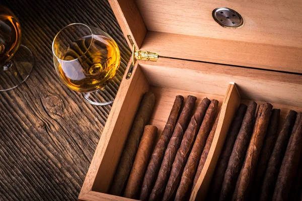 Humidor with quality cigar and cognac — Stok fotoğraf