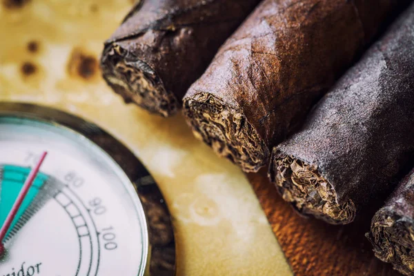 Close-up quality cigar and humidor — Stock Photo, Image