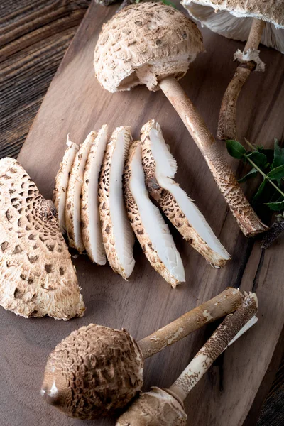 Macrolepiota procera is a very tasty edible mushroom — Stok fotoğraf