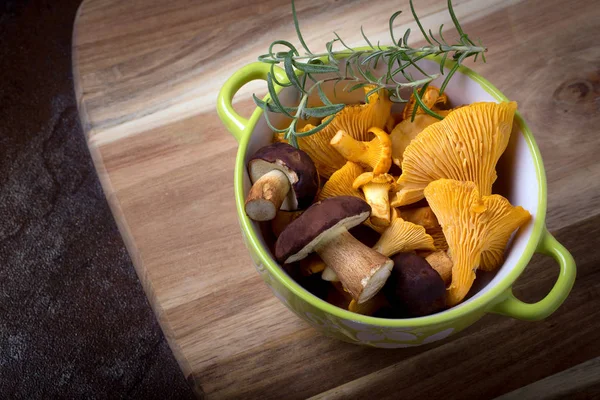 Bowl with cantharellus. Yellow chanterelle and boletus — Stockfoto