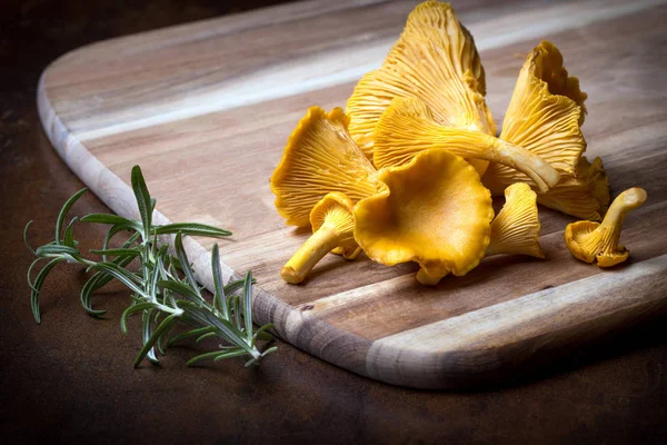 Rosemary with cantharellus. Yellow chanterelle — Stockfoto