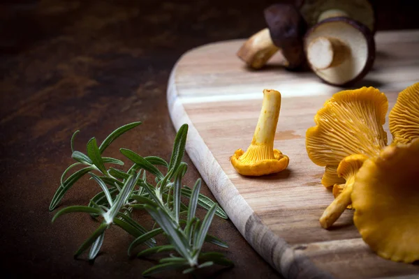 Rosemary with cantharellus. Yellow chanterelle and boletus — Stockfoto