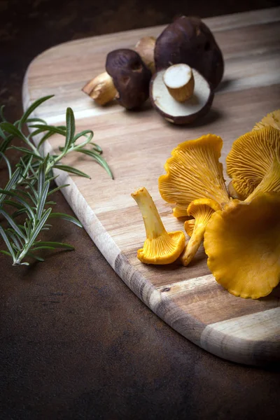 Rosemary com cantharellus. Chanterelle amarelo e boleto — Fotografia de Stock