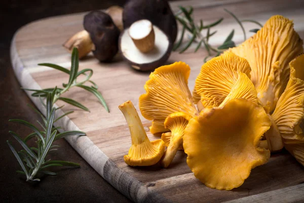 Rosemary with cantharellus. Yellow chanterelle and boletus — Stok fotoğraf