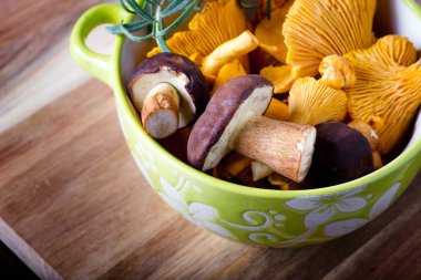 Bowl with cantharellus. Yellow chanterelle and boletus