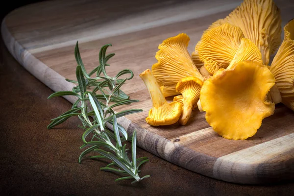Rosemary with cantharellus. Yellow chanterelle and boletus — Stok fotoğraf