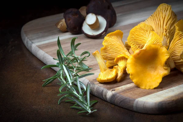 Rosemary with cantharellus. Yellow chanterelle and boletus — Stok fotoğraf