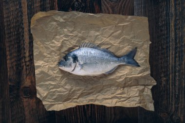Gilthead deniz kabuğu (Sparus aurata) pişirmeye hazır.