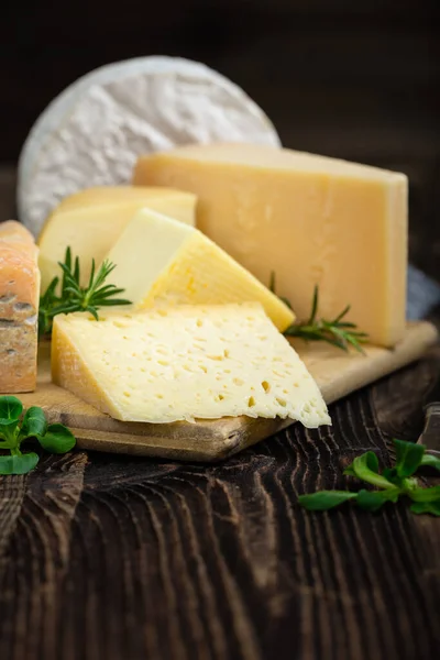 Kaas met basilicum en rozemarijn. — Stockfoto