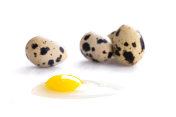 Huevo de codorniz roto — Foto de Stock