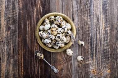 organik bıldırcın yumurtaları